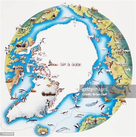 131 Arctic Ice Map Stock Photos, High-Res Pictures, and Images - Getty ...