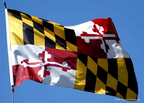 Maryland State Flag Now Under Fire Over 'Confederate Ties' – True Pundit