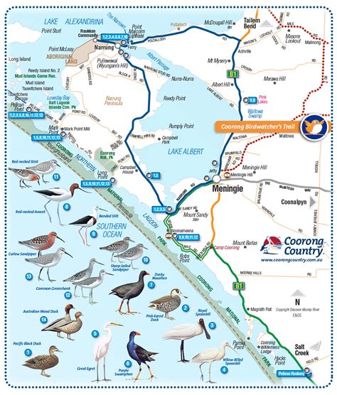 Coorong Country and Meningie Maps, South Australia