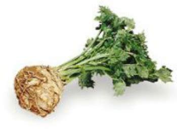 Celeriac, Celery Root, Whats Cooking America