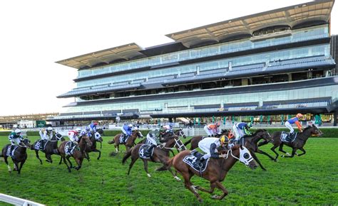 Randwick Horse Racing Tips & Best Bets – Saturday 19th December, 2020 ...