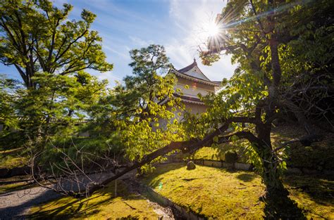 Nijo Castle Review & Tips - Travel Caffeine