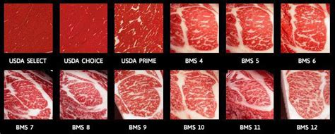 Wagyu vs Kobe Beef - Differences & Everything You Need to Know | What ...