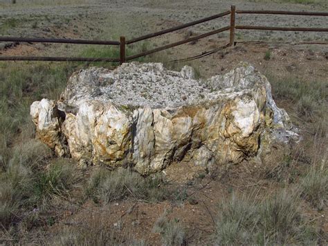 Florissant Fossil Beds National Monument Map - South Central Colorado ...