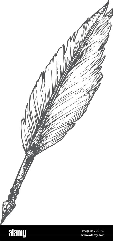 Feather Pen Hand Drawn Doodle Vector Illustration. Abstract Stationary Sketch. School or ...