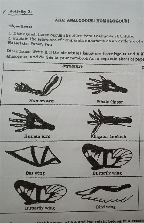 Homologous And Analogous Structures Worksheet