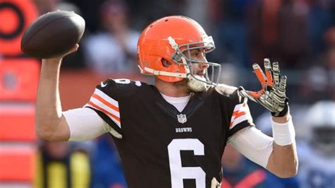 Brian Hoyer expected to leave Browns - ABC13 Houston