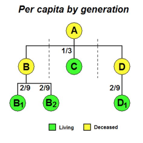 Per Capita Vs Per Stirpes Diagram