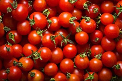 11 Best Cherry Tomato Varieties - Minneopa Orchards