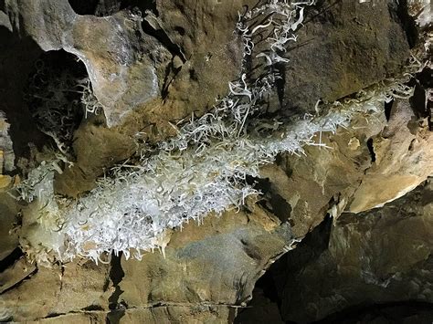 Black Chasm Cavern National Natural Landmark Walking Tours