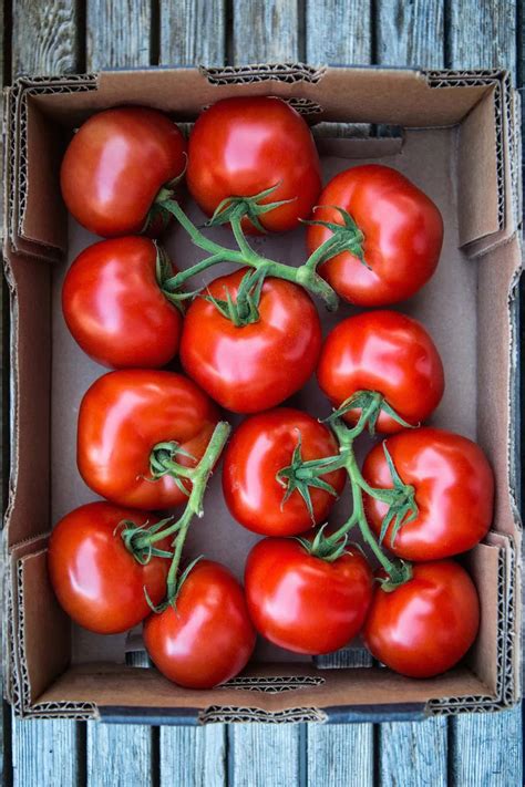 How to Store Tomatoes: Best Storage Methods for Maximum Freshness and Shelf-Life