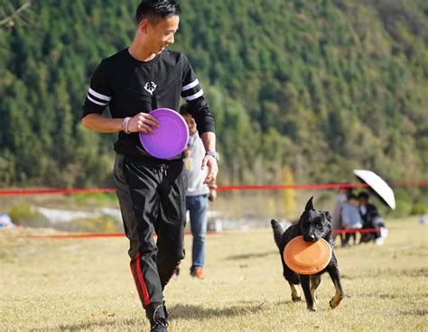 精彩瞬间_苏州宠物训练哪家好|寄养训狗基地|苏州鸿威训犬中心