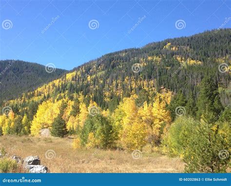 Fall Colors in Rocky Mountains Stock Image - Image of bright, mountains ...