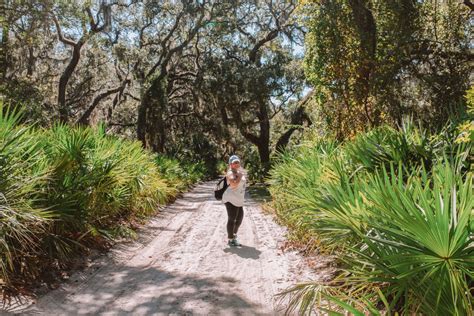 A guide to Cumberland Island National Seashore » at Home on Hudson