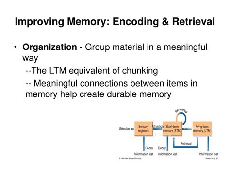 PPT - MEMORY: What can I do to improve it? PowerPoint Presentation ...