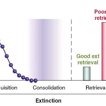 Fear extinction paradigm, with both conditioning, acquisition and ...