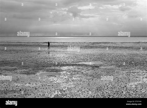 Coastal landscape in the evening light Black and White Stock Photos ...