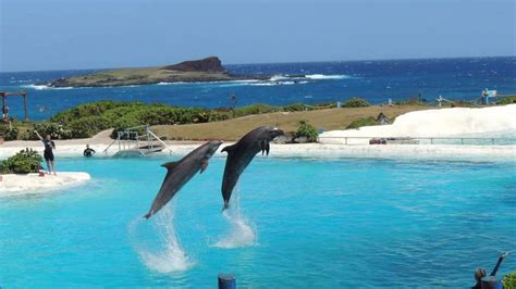 Sea Life Park Hawaii Admission