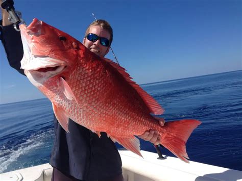 Red Snapper Season 2024 Florida Tips - Sharl Kassie