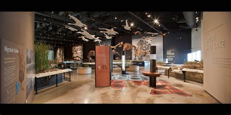 Natural History Museum of Utah - SEGD - Designers of Experiences