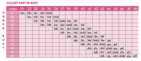 How do you measure Bra sizes – a Quick an Easy guide | Measure bra size, Bra measurements, Bra ...