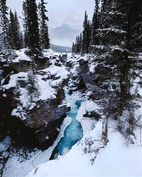 Winter Getaway to Jasper National Park: Best Things To Do, Jasper ...