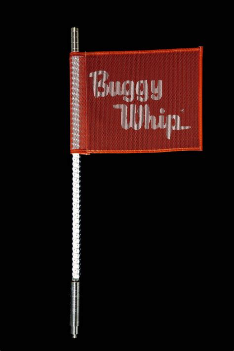 Buggy Whip White LED Whip – Weyer Performance