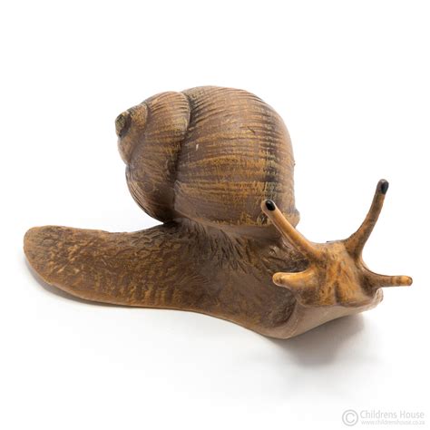 Life Cycle Of A Snail Objects Childrens House Montessori Materials A Snail Is A Hermaphrodite ...