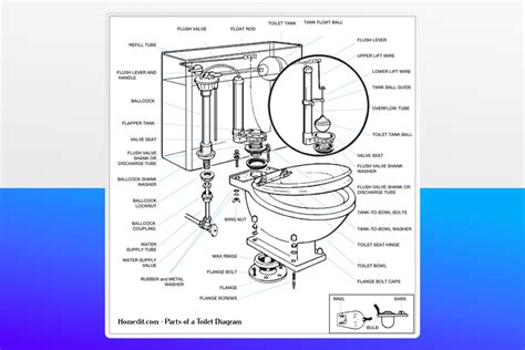 Guide to Parts of a Toilet With Diagrams