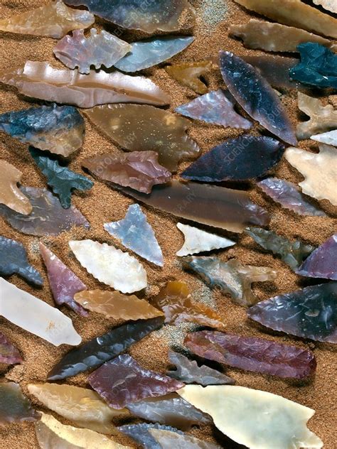 Neolithic flint arrowheads - Stock Image - C014/1029 - Science Photo Library