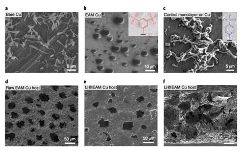 Lithium metal batteries that perform well at low temperatures