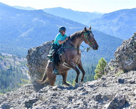 Along for the Ride: INL employee uses endurance equine racing to ...