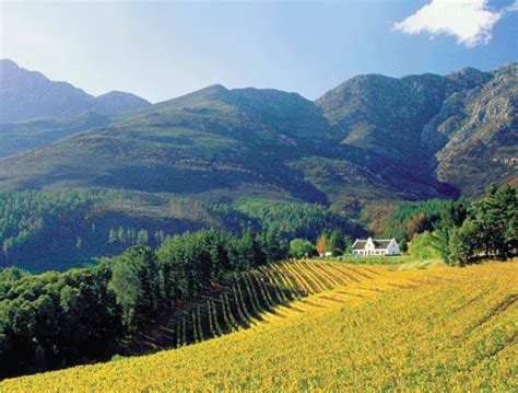 Winelands | Western Cape, South Africa