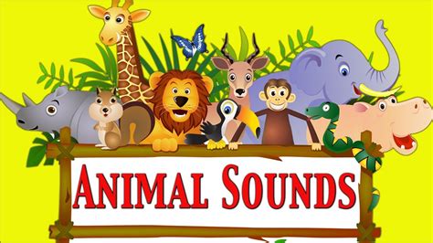 Animal Sounds For Kids ★ Part 1 ★ learn - school - preschool - kindergarten - YouTube