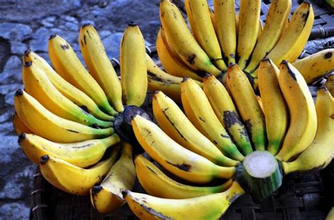 Harga Pisang Raja 1 Tandan