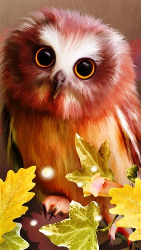 Autumn Owl Wallpapers - Wallpaper Cave