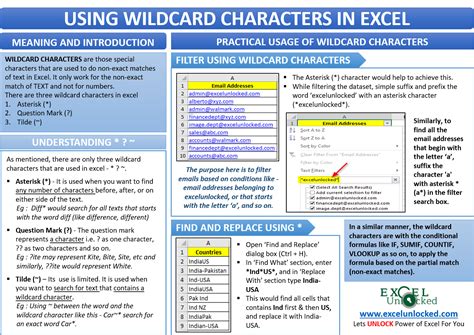 Advanced Search Using Wildcard Characters in Excel - Excel Unlocked