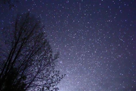 File:Night Sky Stars Trees 02.jpg