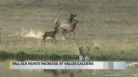 Fall elk hunts to increase at Valles Caldera National Preserve - YouTube