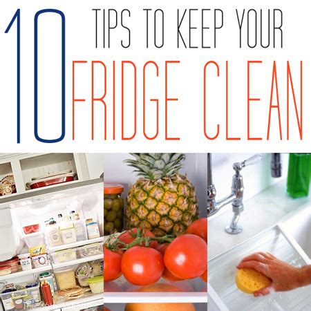 10 Tips to Keep Your Fridge Clean - The Cottage Market