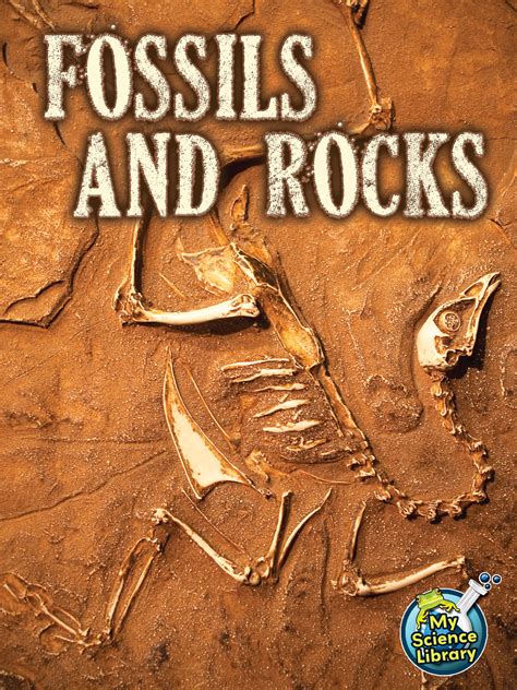 Fossils and Rocks - TCR102362 | Teacher Created Resources