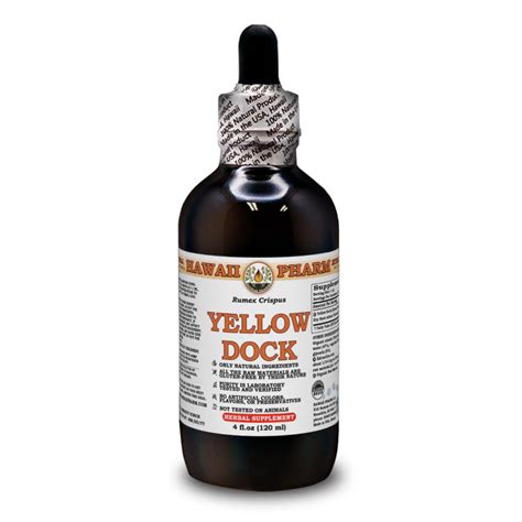 Yellow Dock Liquid Extract, Organic Yellow Dock (Rumex Crispus) Dried ...