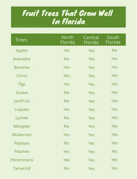 Best Fruit Trees To Grow In Florida (14 easy to grow trees)