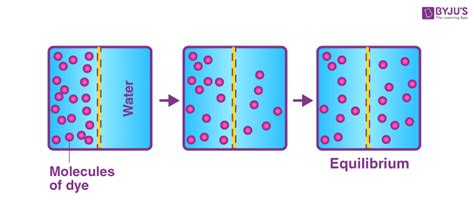 Physical Equilibrium - Types, Phase and Vapour-liquid Equilibrium