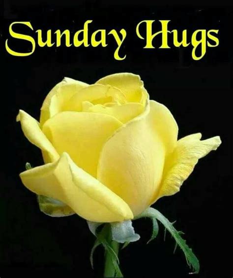 Sunday Hugs Pictures, Photos, and Images for Facebook, Tumblr, Pinterest, and Twitter