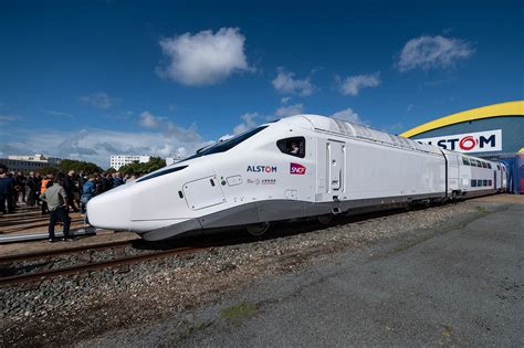 Can You Take Dogs On Tgv Trains