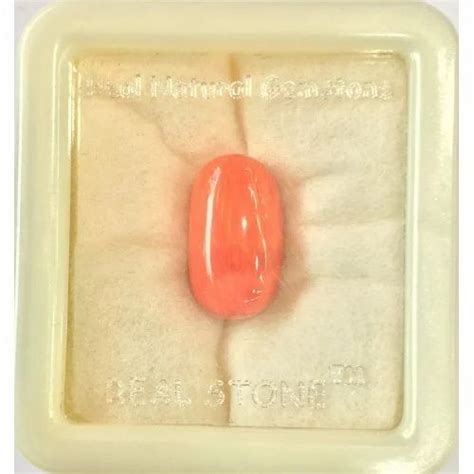 Red Coral - Branded Natural Red Coral Wholesale Price Wholesaler from ...