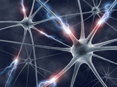 Matrix factorization algorithms help track neuronal activity – Physics World