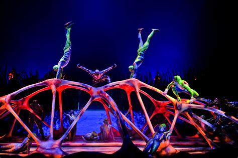 CIRQUE DU SOLEIL: TOTEM, A Spellbinding Circus Production With History ...