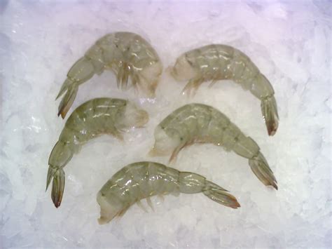 Vannamei Shrimp Nutrition Facts and Healthy Benefits - Vannamei White Shrimps Manufacturer ...